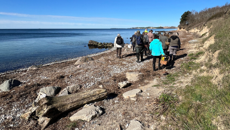 Webbilleder Sanketur