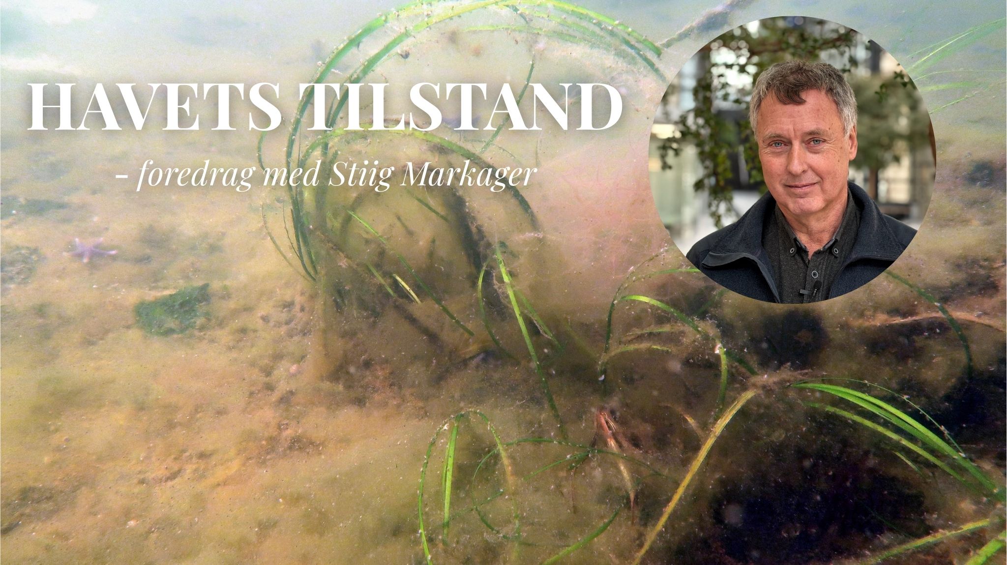 Havets Tilstand Foredrag Med Stiig Markager