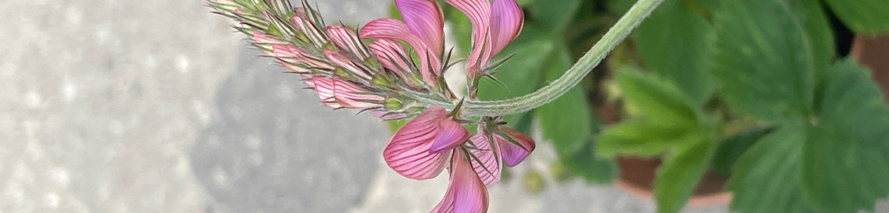 nye vaner i den grønne omstilling